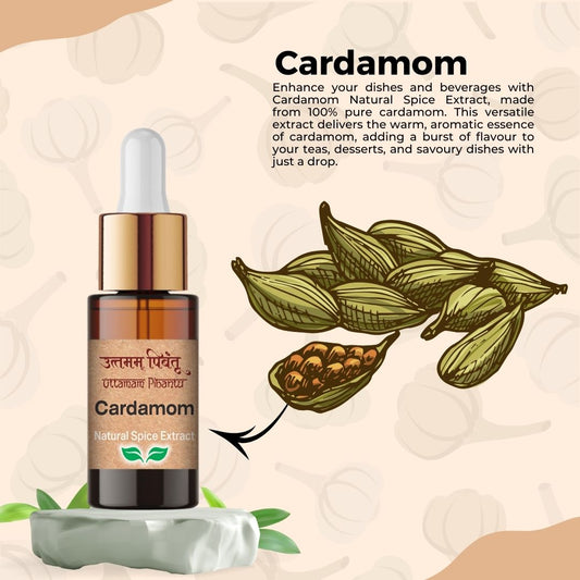 Combo Pack of Dil Se Hyderabadi | Assam Ki Tazgi | Cardamom | 5ml, 180 Drops Each | Premium Indian Spice & Flavor Extracts