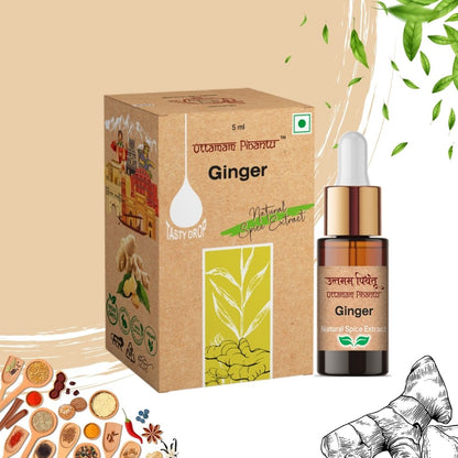 Combo Pack of 3 Spice Extract Drops – Cardamom, Ginger, Garlic (5ml, 3 x 180 Drops)