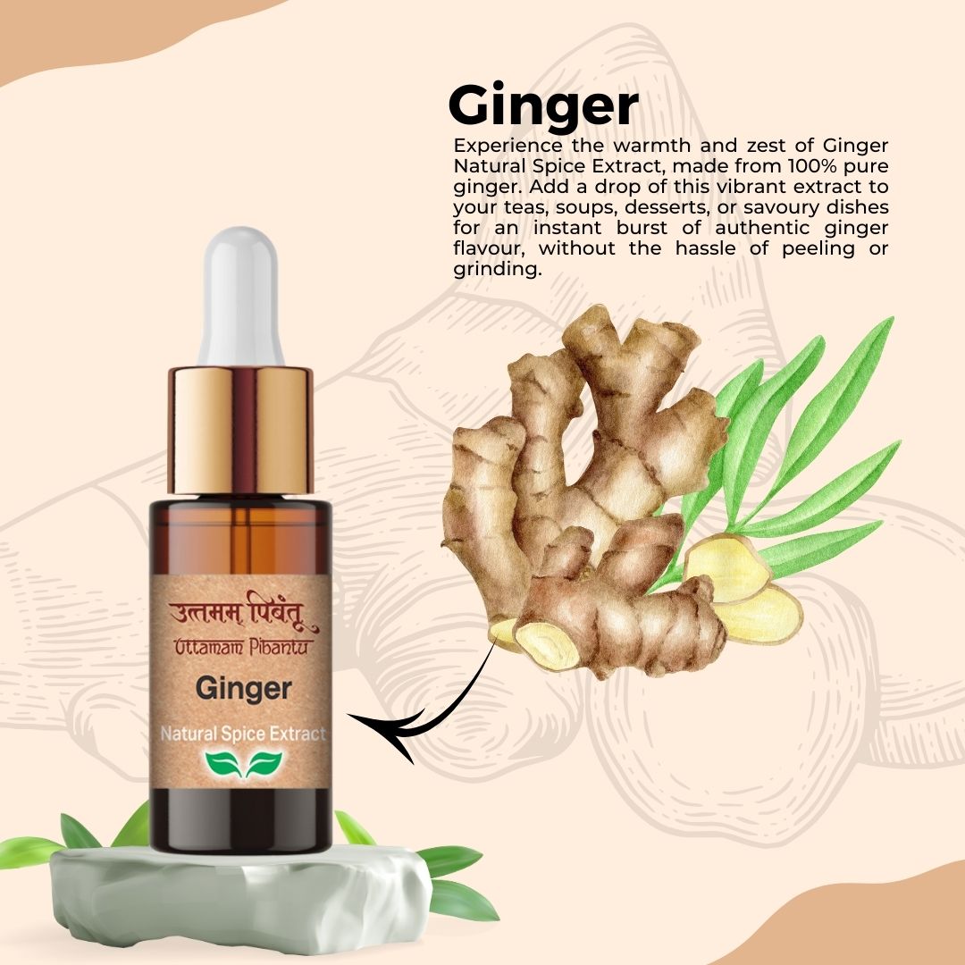 Combo Pack of 3 Spice Extract Drops – Cardamom, Ginger, Garlic (5ml, 3 x 180 Drops)