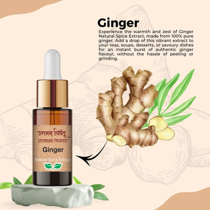 Combo Pack of 3 Spice Extract Drops – Cardamom, Ginger, Garlic (5ml, 3 x 180 Drops)